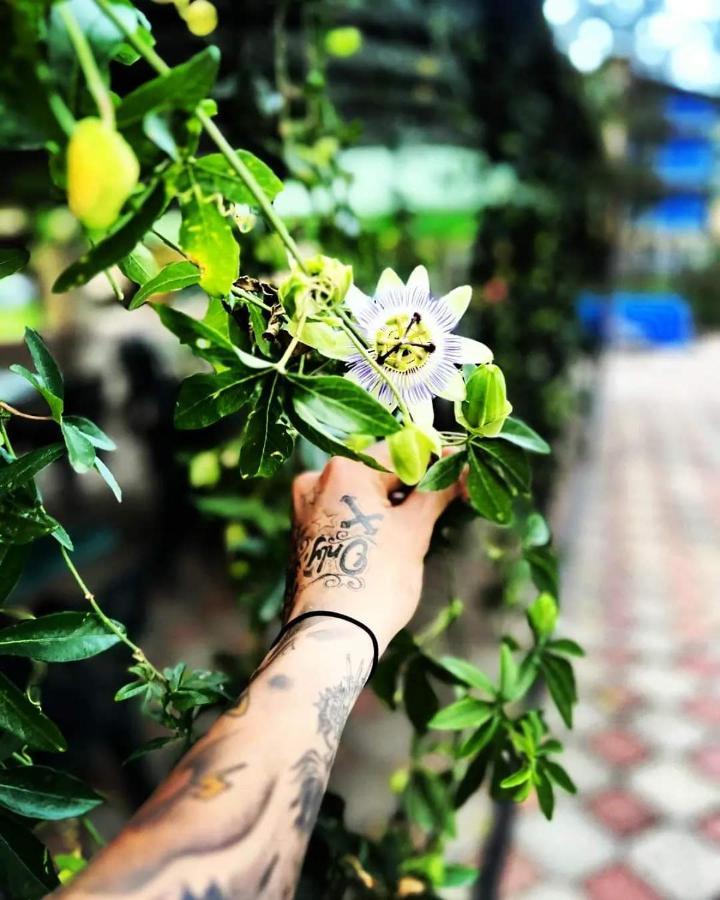 Hotel Lotus Ureki Kültér fotó
